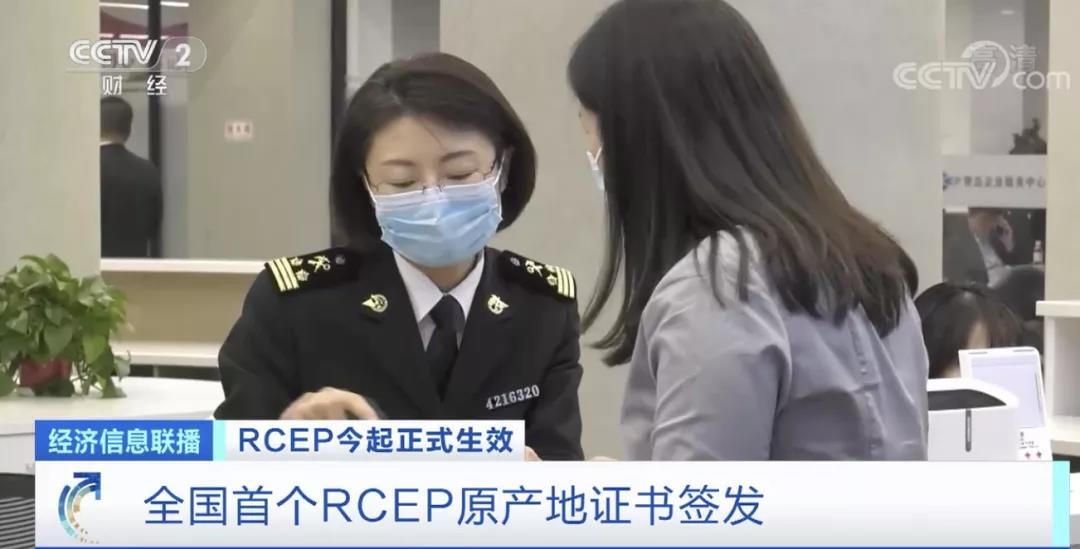 《區(qū)域全面經(jīng)濟伙伴關系協(xié)定》RCEP正式生效！