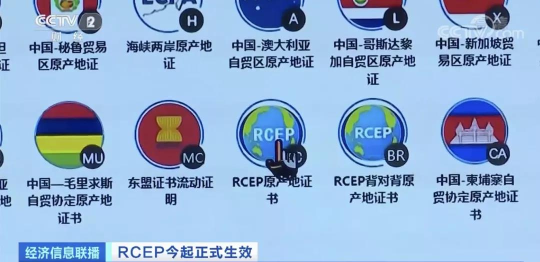 《區(qū)域全面經(jīng)濟伙伴關系協(xié)定》RCEP正式生效！