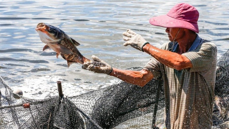 今年前兩個月中國是越南查魚最大出口市場